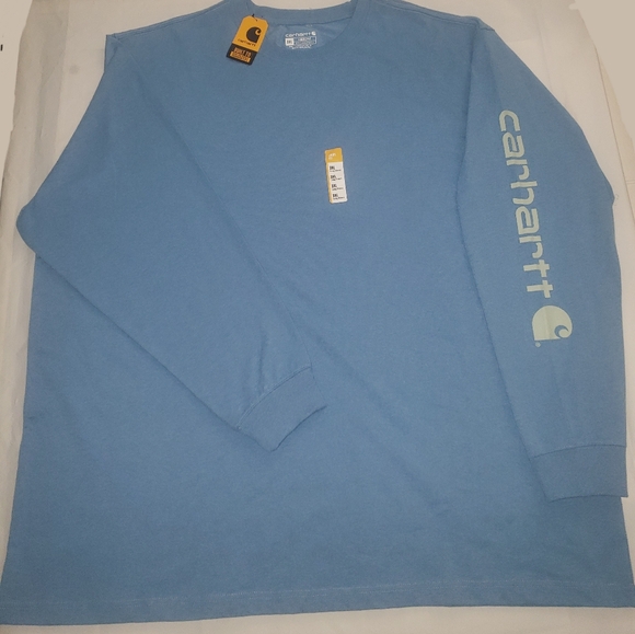 Carhartt Other - Carhartt LOOSE FIT HEAVYWEIGHT LONG-SLEEVE LOGO SLEEVE GRAPHIC T-SHIRT